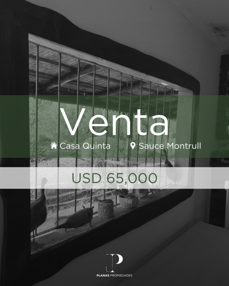 SE VENDE QUINTA EN SAUCE MONTRULL