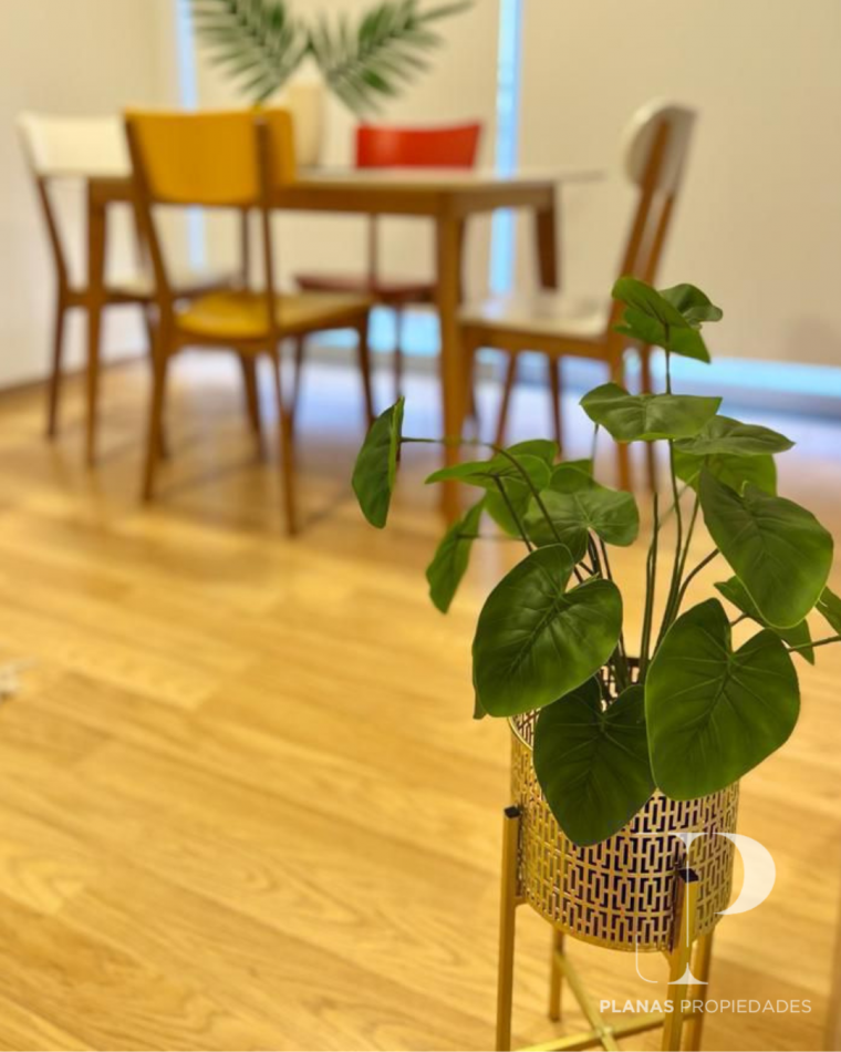 SE ALQUILA DEPARTAMENTO 1 DORMITORIO AMOBLADO ZONA PARQUE - 1o Piso