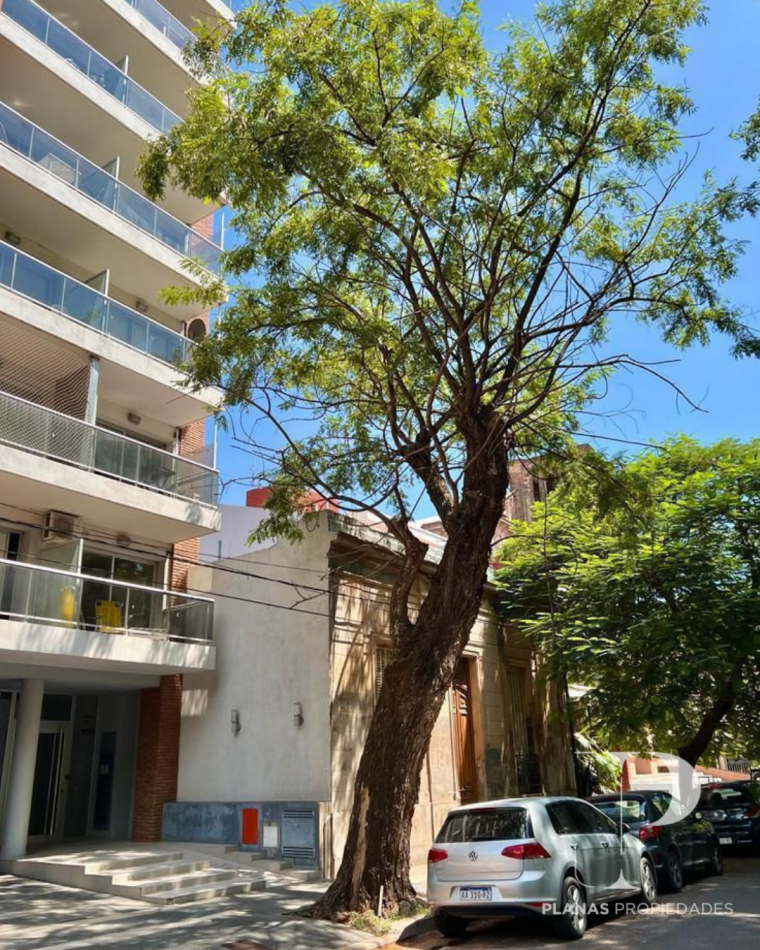 SE ALQUILA DEPARTAMENTO 1 DORMITORIO AMOBLADO ZONA PARQUE - 1o Piso