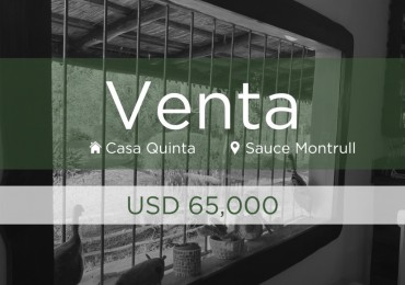 SE VENDE QUINTA EN SAUCE MONTRULL